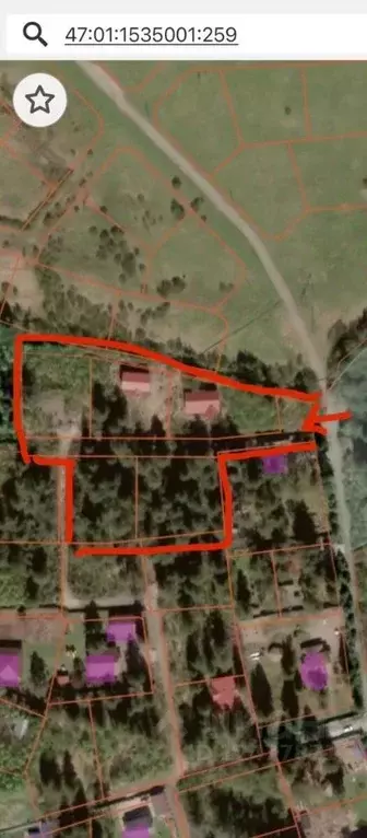 Участок в Ленинградская область, Выборгский район, Рощинское городское ... - Фото 2