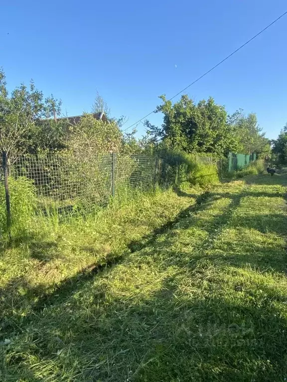 Участок в Ленинградская область, Ломоносовский район, Ропшинское ... - Фото 0