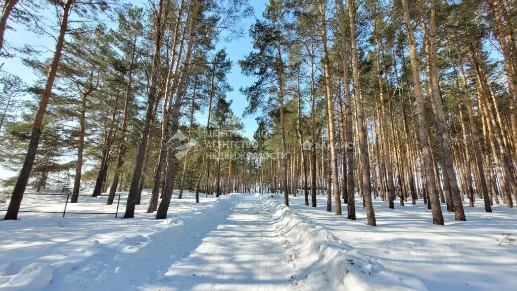 Участок в Рязанская область, Рязанский муниципальный округ, Усадьба ... - Фото 1