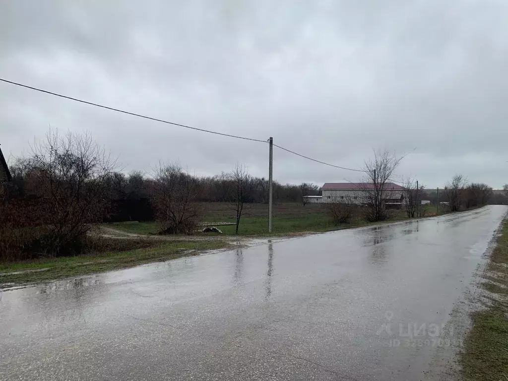 Участок в Саратовская область, Энгельсский район, Терновское ... - Фото 2