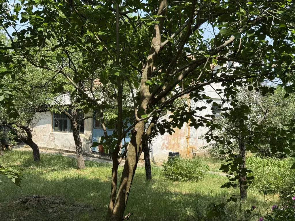 Участок в село Укромное, Октябрьская улица, 134 (12 м) - Фото 1