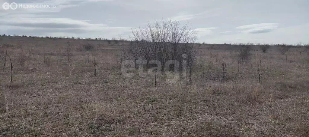 Участок в Бахчисарайский район, Куйбышевское сельское поселение, село ... - Фото 2