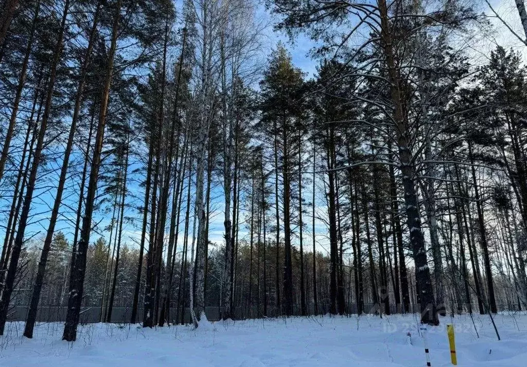 Участок в Свердловская область, Сысертский городской округ, пос. ... - Фото 1