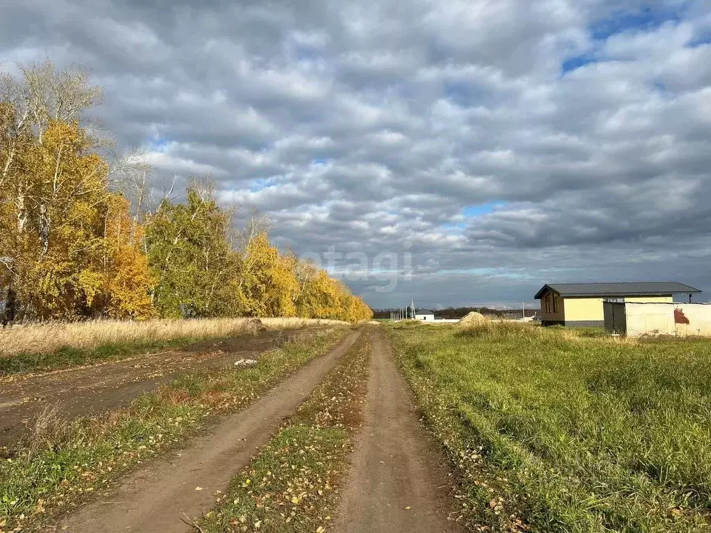 Участок в Алтайский край, Павловский район, Молодежный ДНТ  (10.0 ... - Фото 0