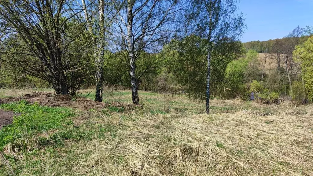 Участок в Московская область, Домодедово городской округ, д. ... - Фото 1