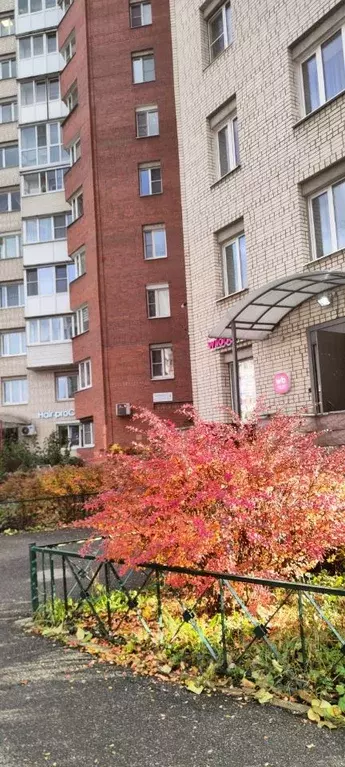 2-к кв. Санкт-Петербург Ленинский просп., 91 (49.0 м) - Фото 2