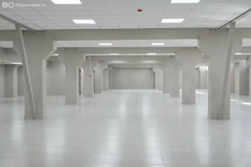 Помещение свободного назначения (50 м) - Фото 1