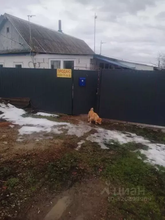 Дом в Краснодарский край, Кавказский район, Имени Максима Горького ... - Фото 1