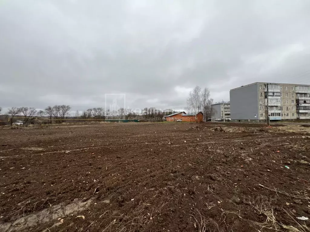 Участок в Владимирская область, Суздальский район, Новоалександровское ... - Фото 2