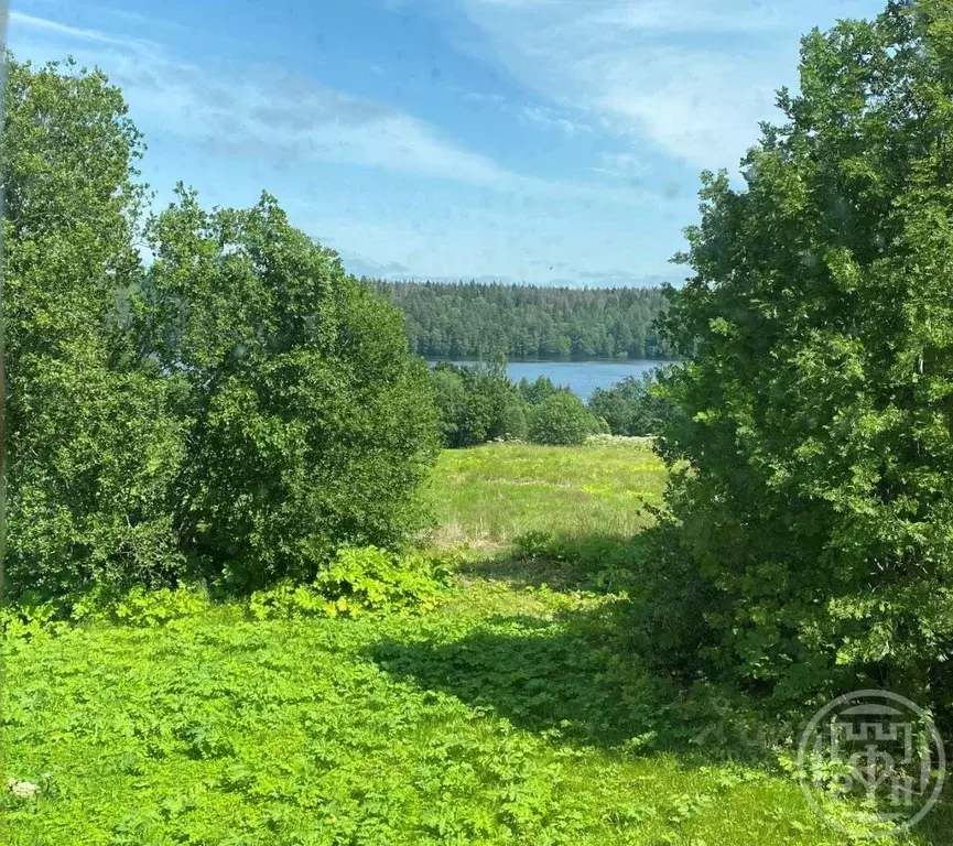 Участок в Ленинградская область, Выборгский район, Полянское с/пос, ... - Фото 2