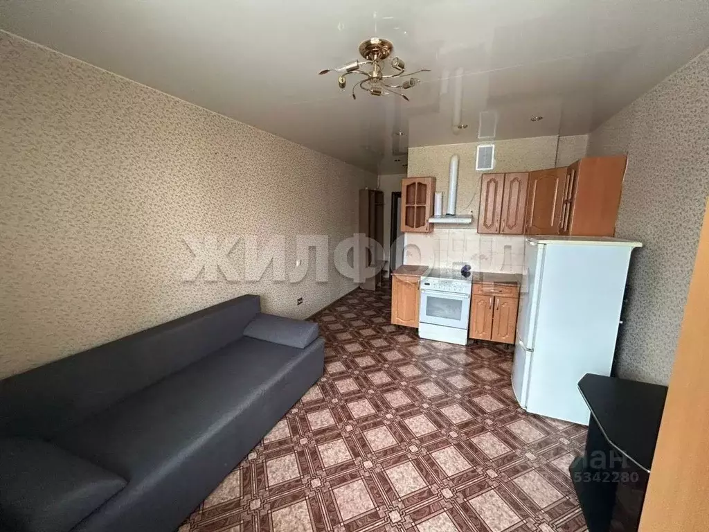 1-к кв. Новосибирская область, Новосибирск ул. Виктора Уса, 9 (22.4 м) - Фото 1