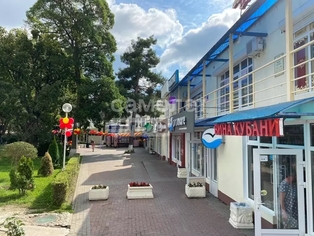 Помещение свободного назначения в Краснодарский край, Геленджик ... - Фото 1