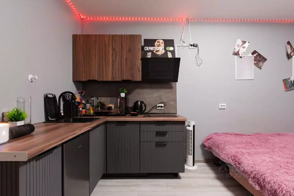 Студия Санкт-Петербург наб. Реки Каменки, 23 (18.9 м) - Фото 1