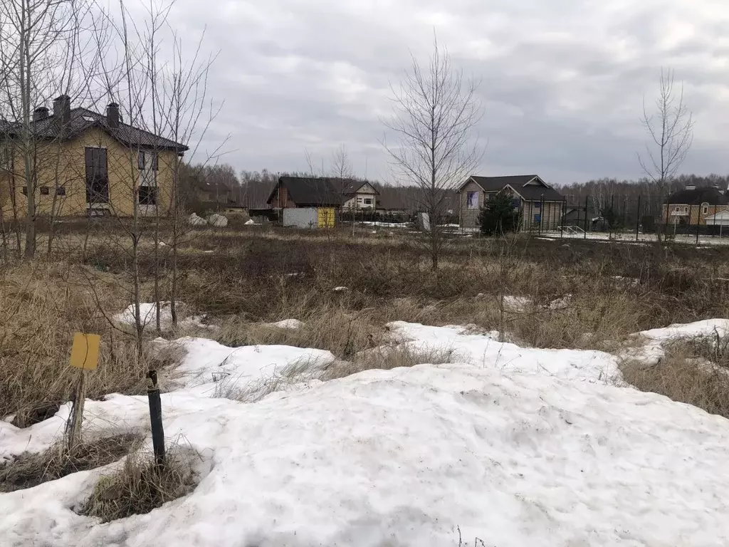 Участок в Нижегородская область, Богородский район, д. Шумилово ... - Фото 1