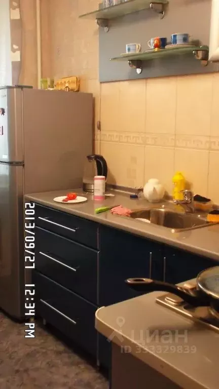 Студия Крым, Симферополь ул. Беспалова, 110В (29.0 м) - Фото 2