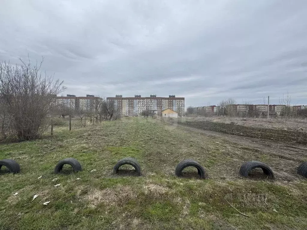 Участок в Брянская область, Брянск СО Ласточка тер.,  (6.67 сот.) - Фото 2