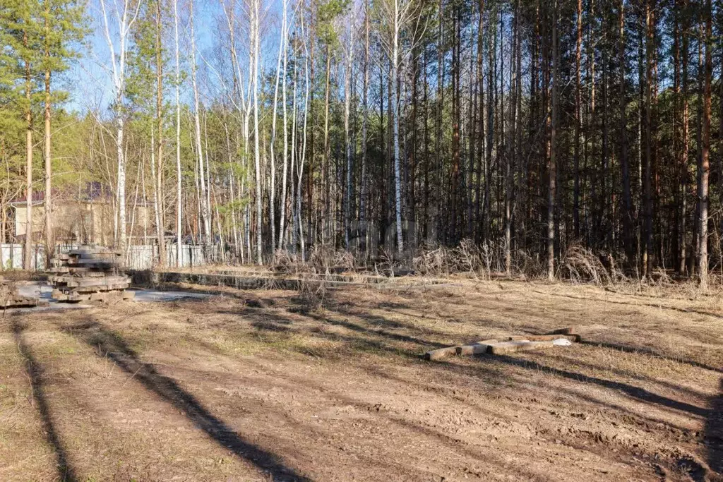 Участок в Татарстан, Пестречинский район, Шигалеевское с/пос, Заречье ... - Фото 1