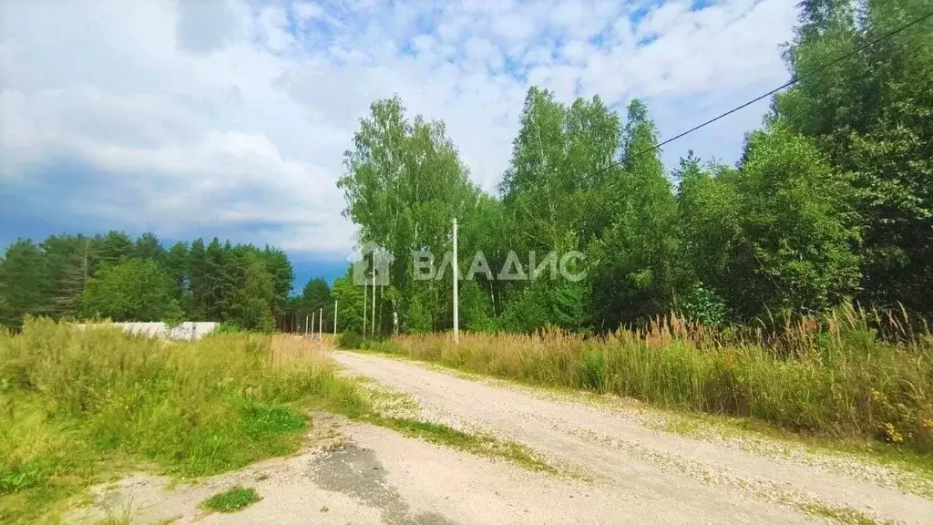 Участок в Владимирская область, Судогодский район, д. Ладога, Ладога ... - Фото 1