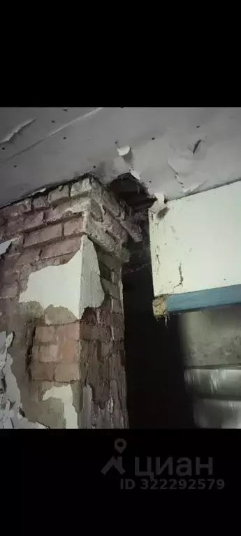 Помещение свободного назначения в Калужская область, Думиничский ... - Фото 1