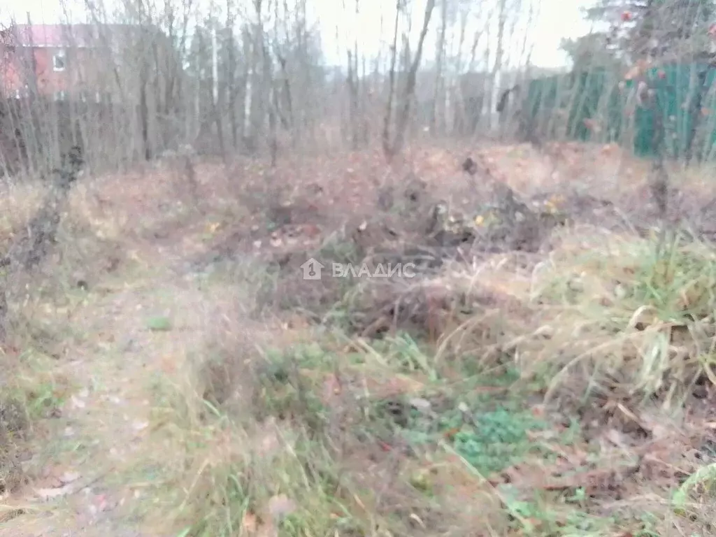 Участок в Московская область, Луховицы муниципальный округ, с. Городна ... - Фото 2