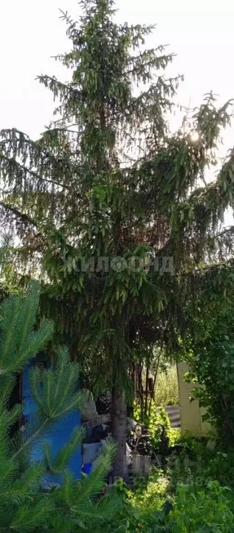 Дом в Новосибирская область, Новосибирский район, с. Криводановка, ... - Фото 0