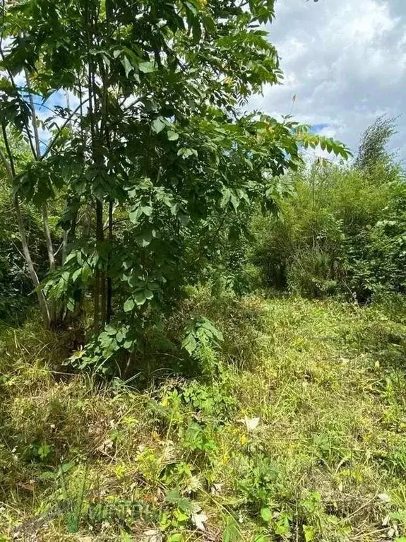 Участок в Приморский край, Артем Гвардеец СНТ, 51 (7.5 сот.) - Фото 1