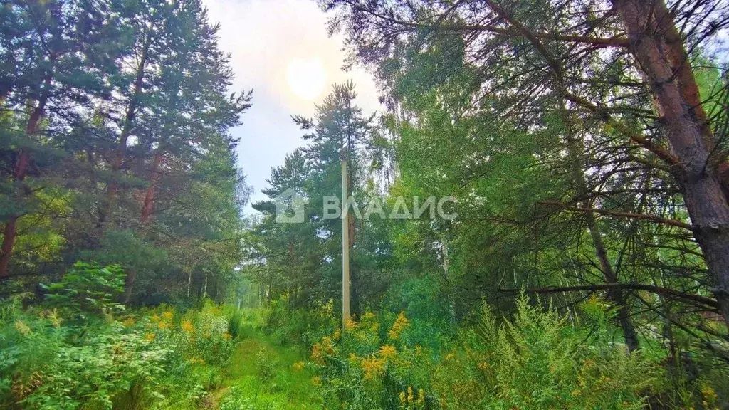 Участок в Владимирская область, Владимир пер. Лукинский, 18 (10.0 ... - Фото 1