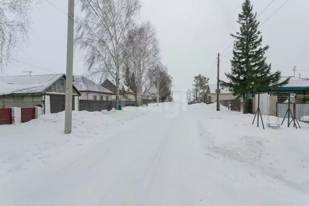 Участок в Новосибирская область, Новосибирский район, Верх-Тулинский ... - Фото 2