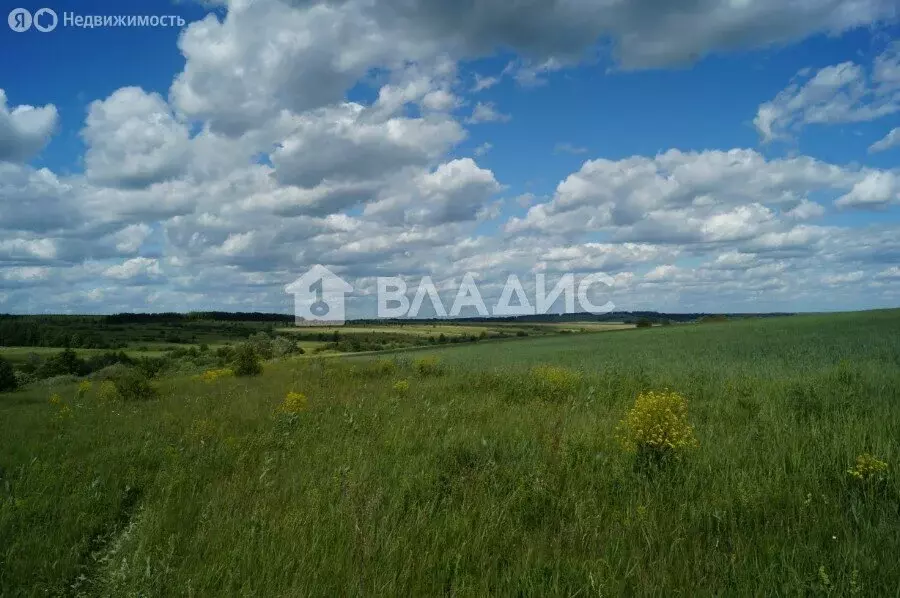 Участок в Нижегородская область, городской округ Навашинский, деревня ... - Фото 1