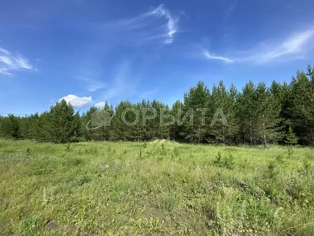 Участок в Тюменская область, Тюменский район, с. Борки  (10.0 сот.) - Фото 1
