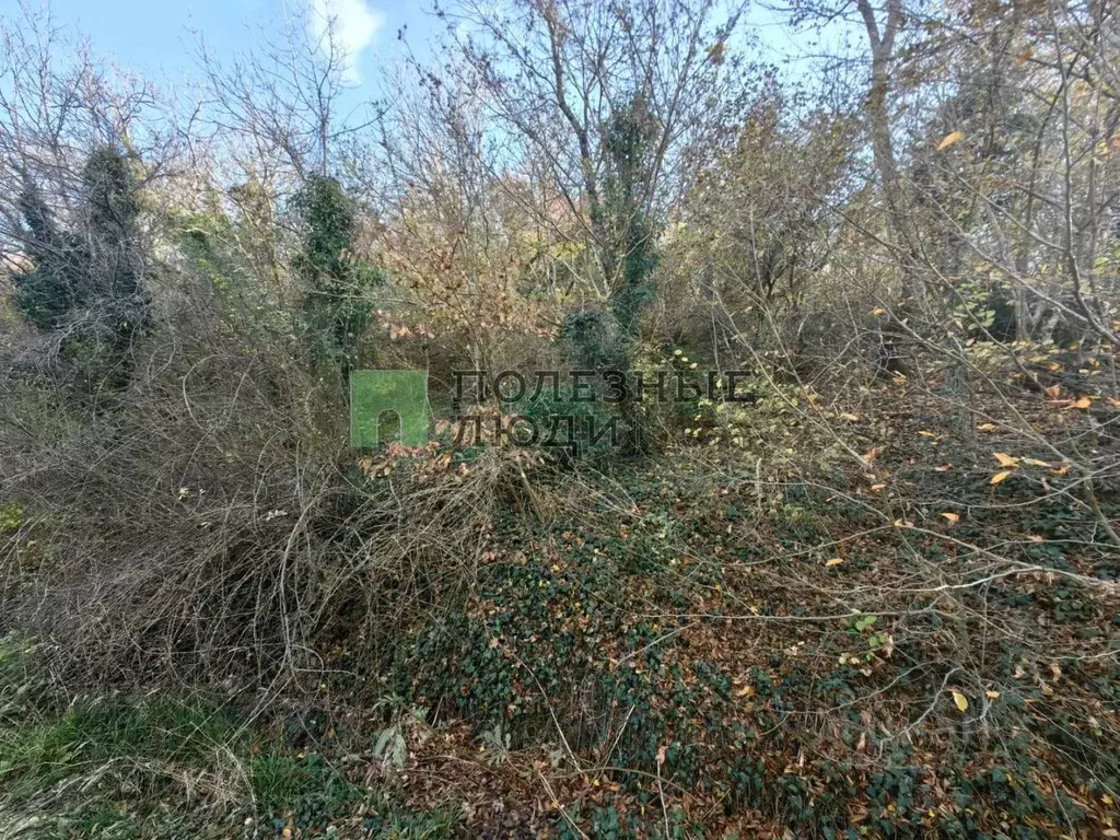 Участок в Краснодарский край, Новороссийск Баклан СНТ, ул. Спортивная ... - Фото 1