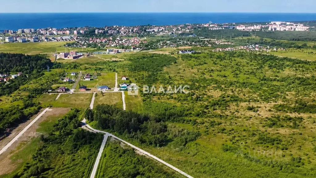 Участок в Калининградская область, Зеленоградск пос. Клинцовка,  (6.0 ... - Фото 2