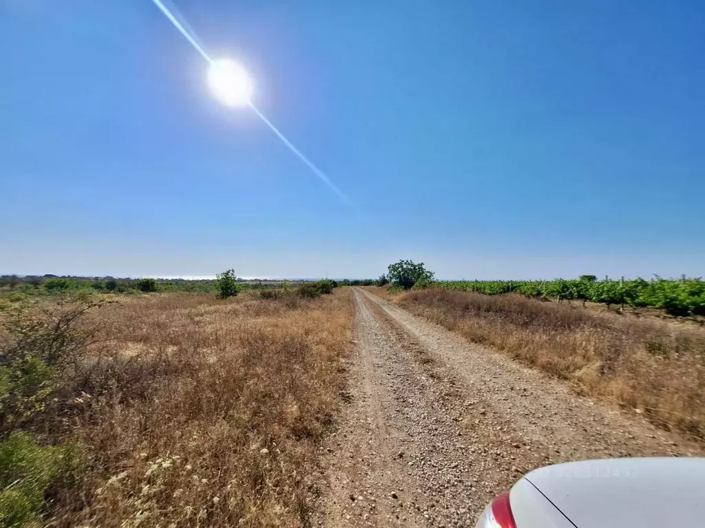 Участок в Севастополь Софьи Перовской тер.,  (130.0 сот.) - Фото 2