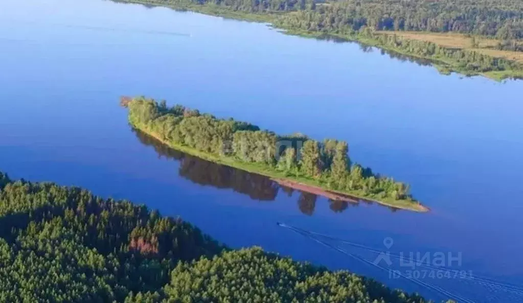 Участок в Удмуртия, Завьяловский район, с. Гольяны Советская ул., 5 ... - Фото 0