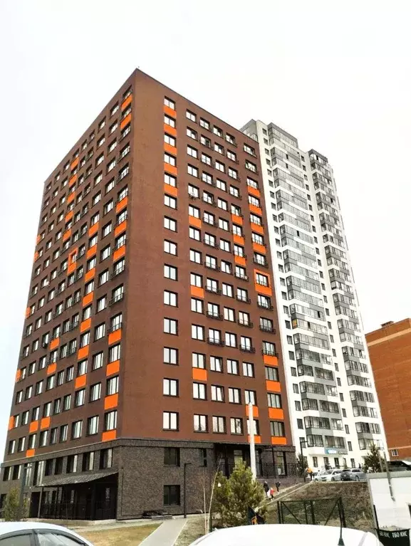 2-к кв. Новосибирская область, Новосибирск Выборная ул., 133 (37.0 м) - Фото 0