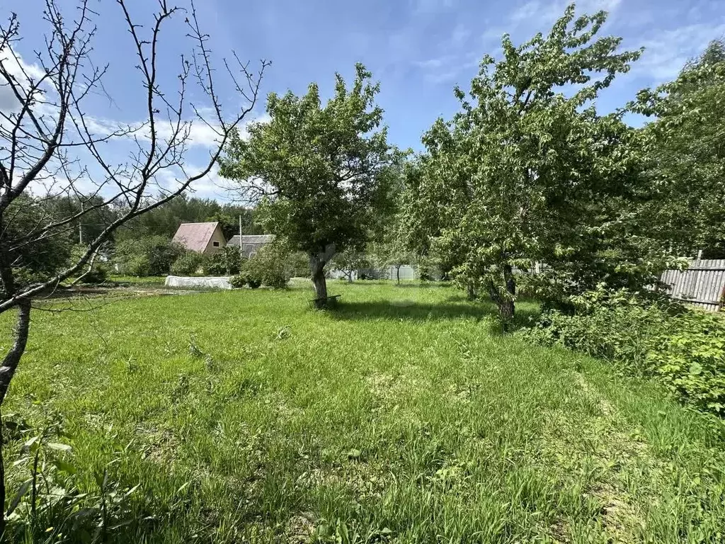 Участок в Костромская область, Кострома Заря СНТ, 31 (5.0 сот.) - Фото 1