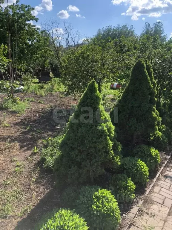 Участок в Ростовская область, Аксайский район, Большой Лог хут. ул. ... - Фото 0