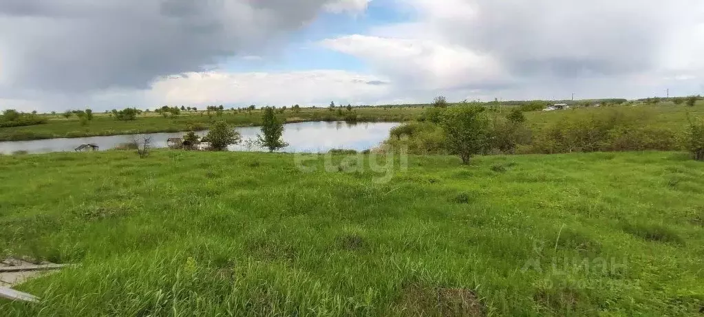 Участок в Воронежская область, Рамонский район, с. Русская Гвоздевка  ... - Фото 0