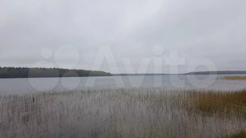 Дом 100 м на участке 20,3 сот. - Фото 0