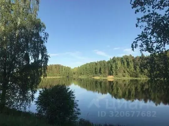 Участок в Новгородская область, Валдайский район, Яжелбицкое с/пос, д. ... - Фото 1
