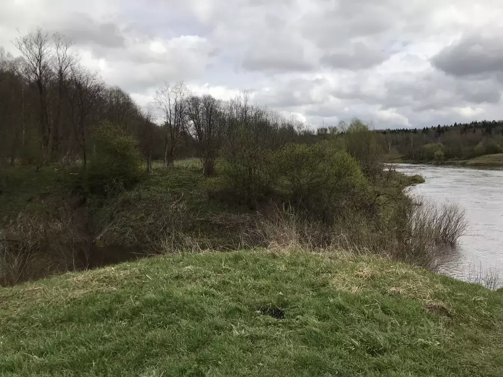 Участок в Калужская область, Юхновский муниципальный округ, ... - Фото 2