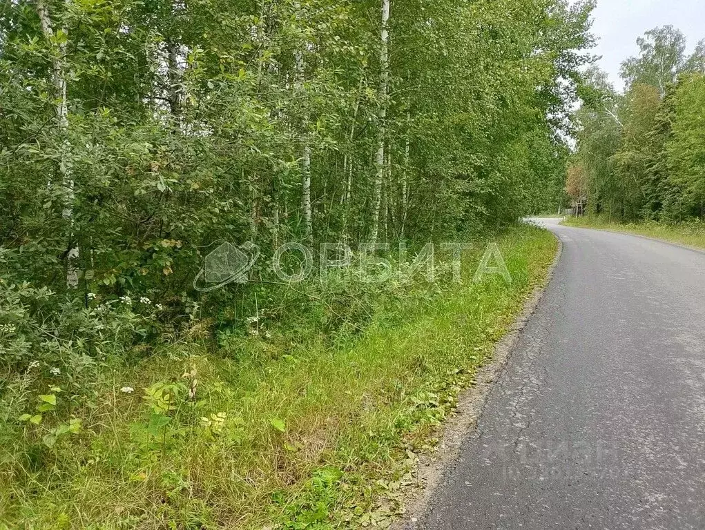 Участок в Тюменская область, Нижнетавдинский район, Сундукульский ... - Фото 1