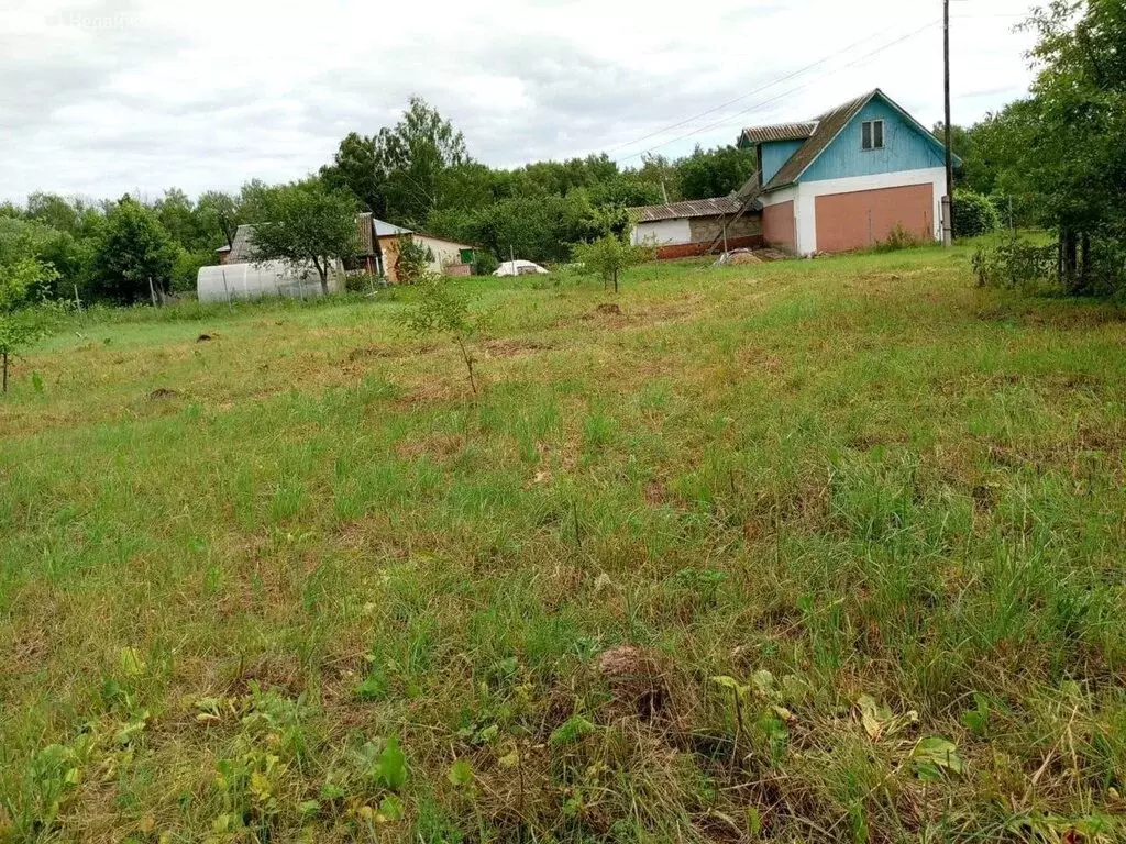 Участок в Тульская область, Венёвский муниципальный округ, село ... - Фото 1