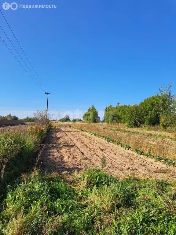 Участок в Трубичинское сельское поселение, деревня Стрелка, Сосновая ... - Фото 1