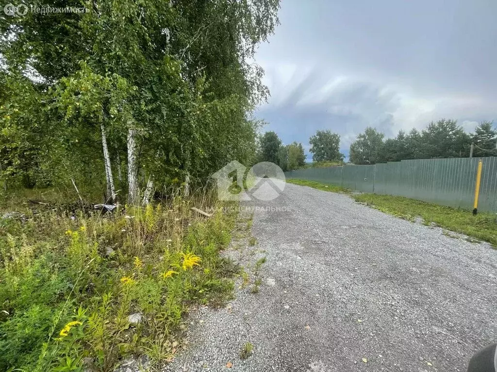 Участок в Искитимский район, Мичуринский сельсовет, дачное ... - Фото 2