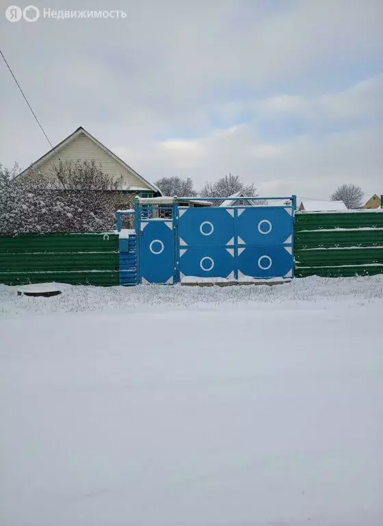 Дом в село Южный Урал, Сельский переулок, 29 (65.8 м) - Фото 1