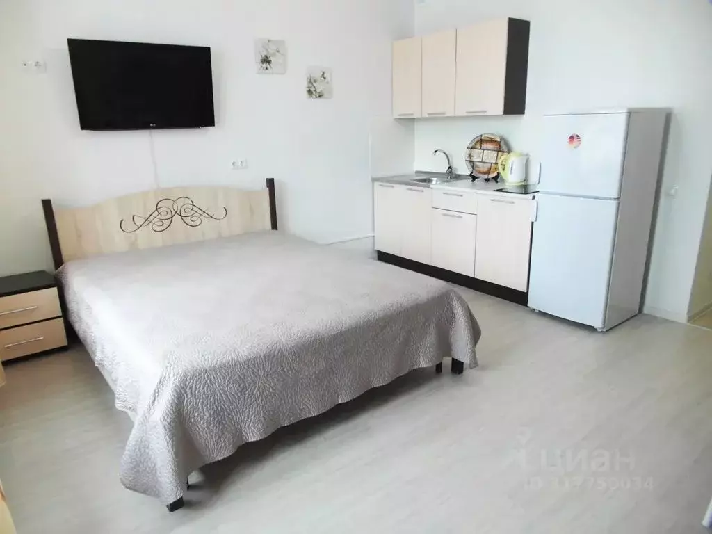 Студия Краснодарский край, Анапа Анапское ш., 24к7 (27.0 м) - Фото 0