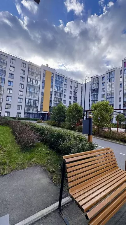 Студия Санкт-Петербург просп. Буденного, 23к1 (26.41 м) - Фото 2