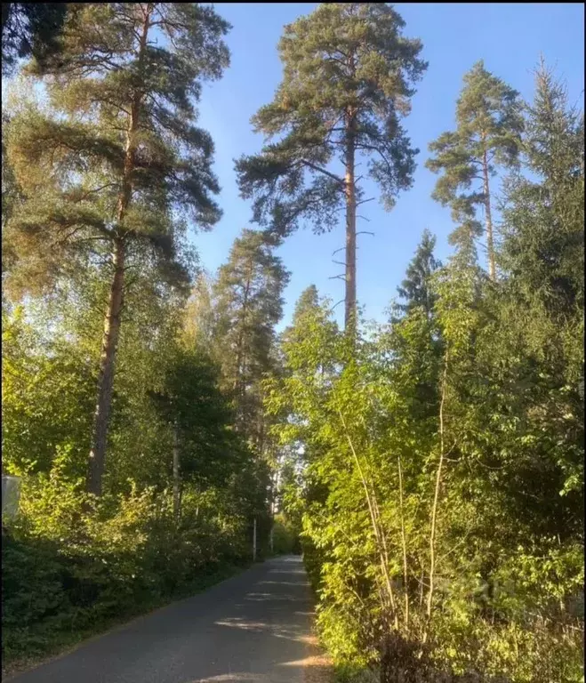 Дом в Московская область, Солнечногорск городской округ, пос. ... - Фото 2