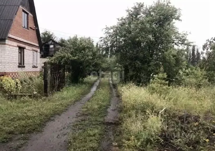 Участок в Воронежская область, Воронеж Иволга СНТ, 323 (6.0 сот.) - Фото 1